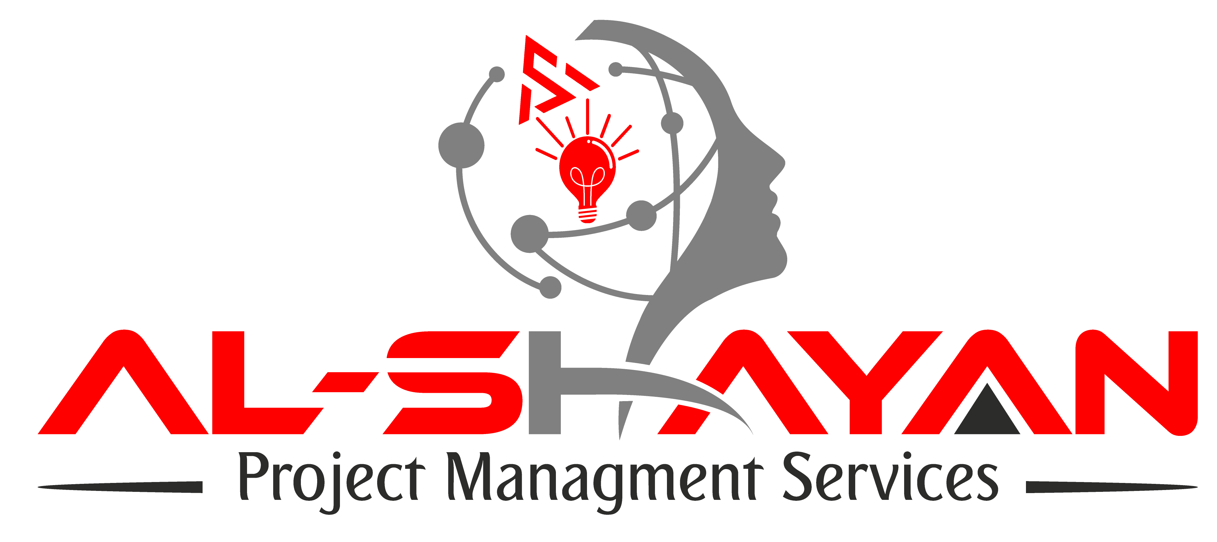 Al-Shayan Project Managements